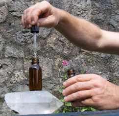 hand made flower essences