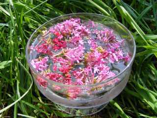 making flower remedies