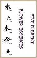 5 Element Booklet