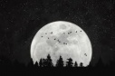 moon_rise