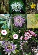 no panic
